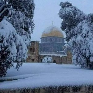 Meet your Posher, Doris